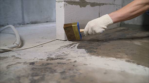 SJ Waterproofing Pros Waterproofing coverage map for Hartsville, IN and surrounding area